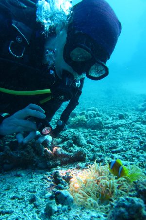 NeleUnterwasser_Blog NeleUnterwasser_Blog